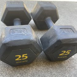 25lbs Dumbbells