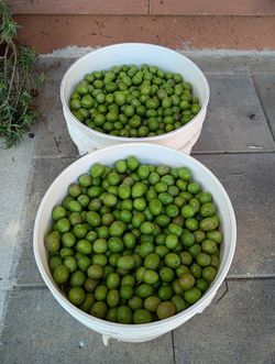 Olives.