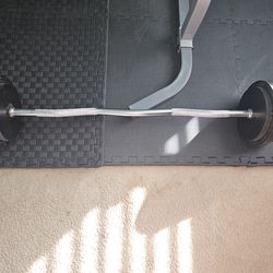Curl Bar And 100lbs