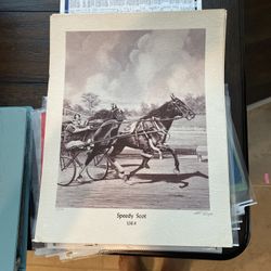 Vintage Racehorse Photos 