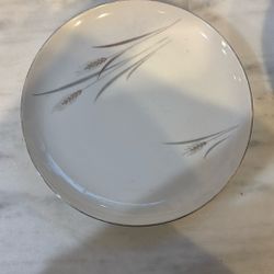 (11) Fine China Dinner Plates 