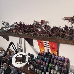 Warhammer 40K Tyranid Army Hive Fleet Kraken
