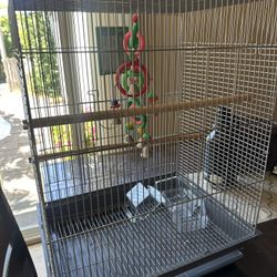 Bird Cage