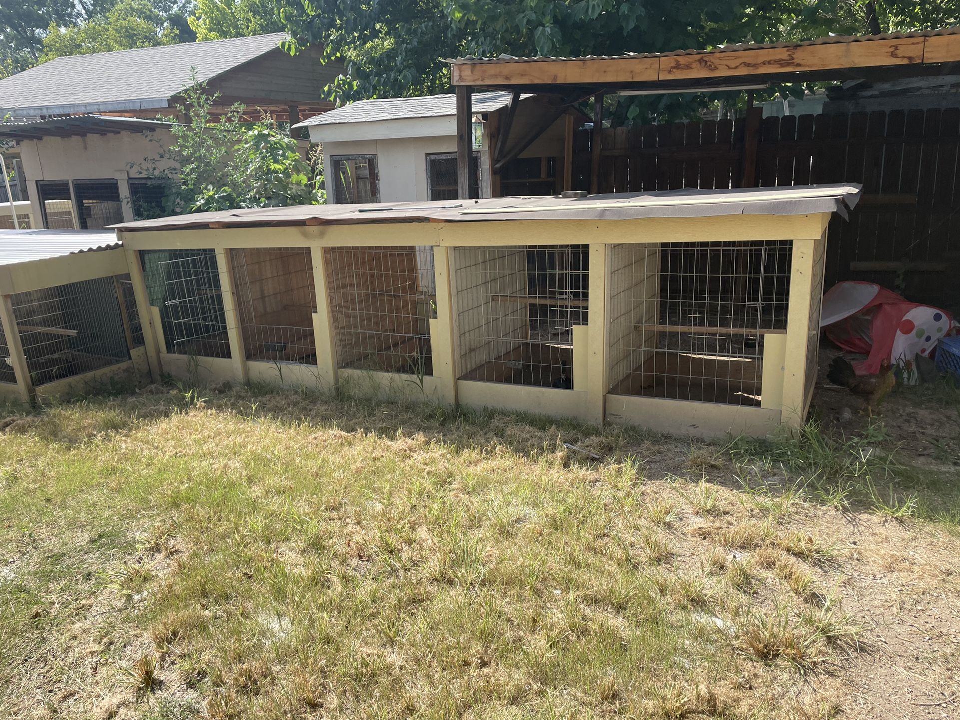 Rooster/ Gallo / Poultry Cages Forsale