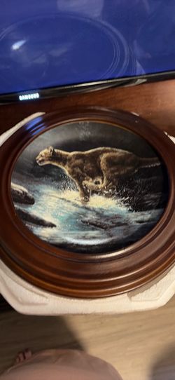 Cougar plate