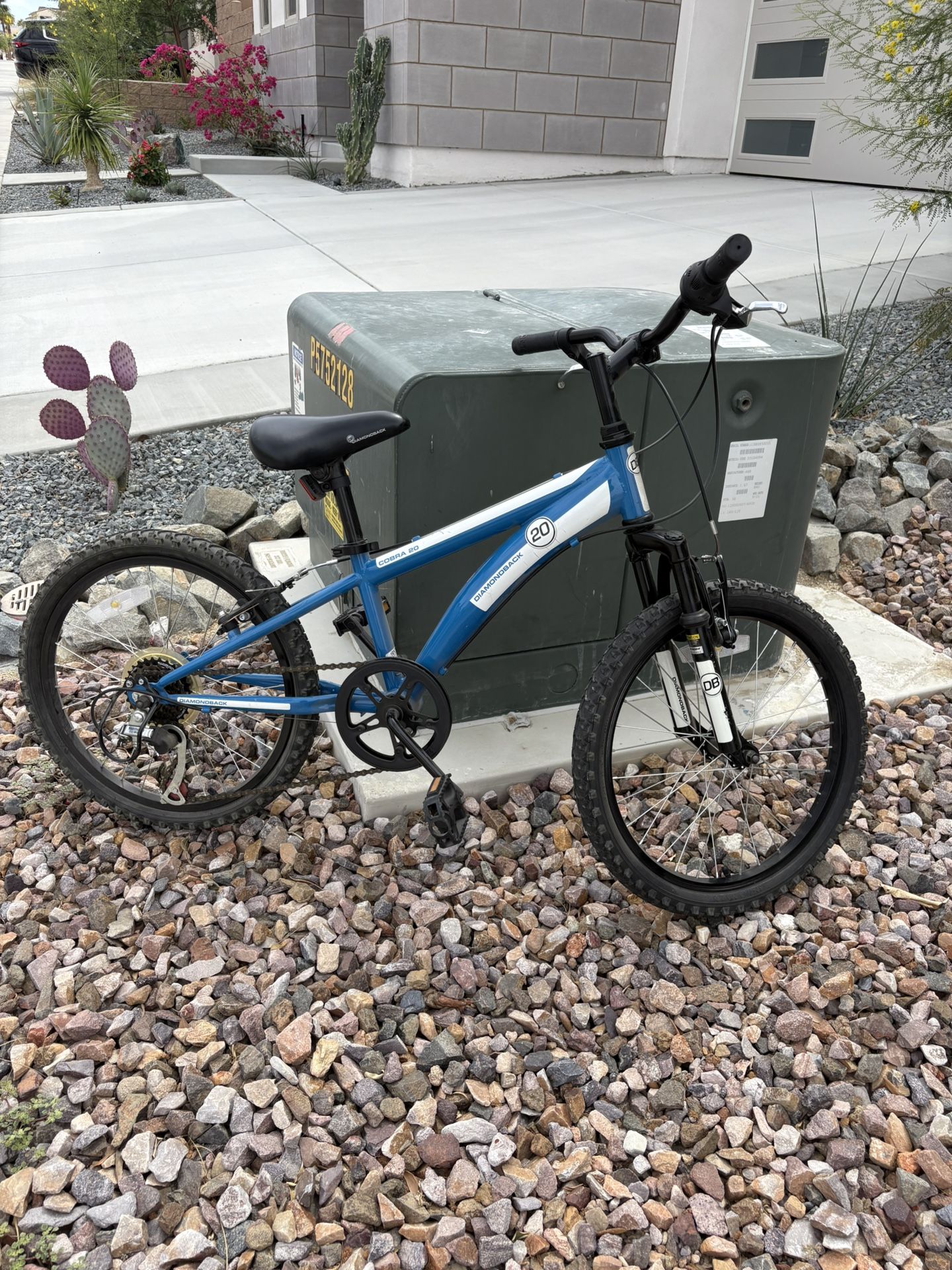 Diamondback Cobra Series 20β Youth Mountain Bike β Great Deal! $100
