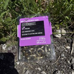 Everbilt Anti Theft Security chain