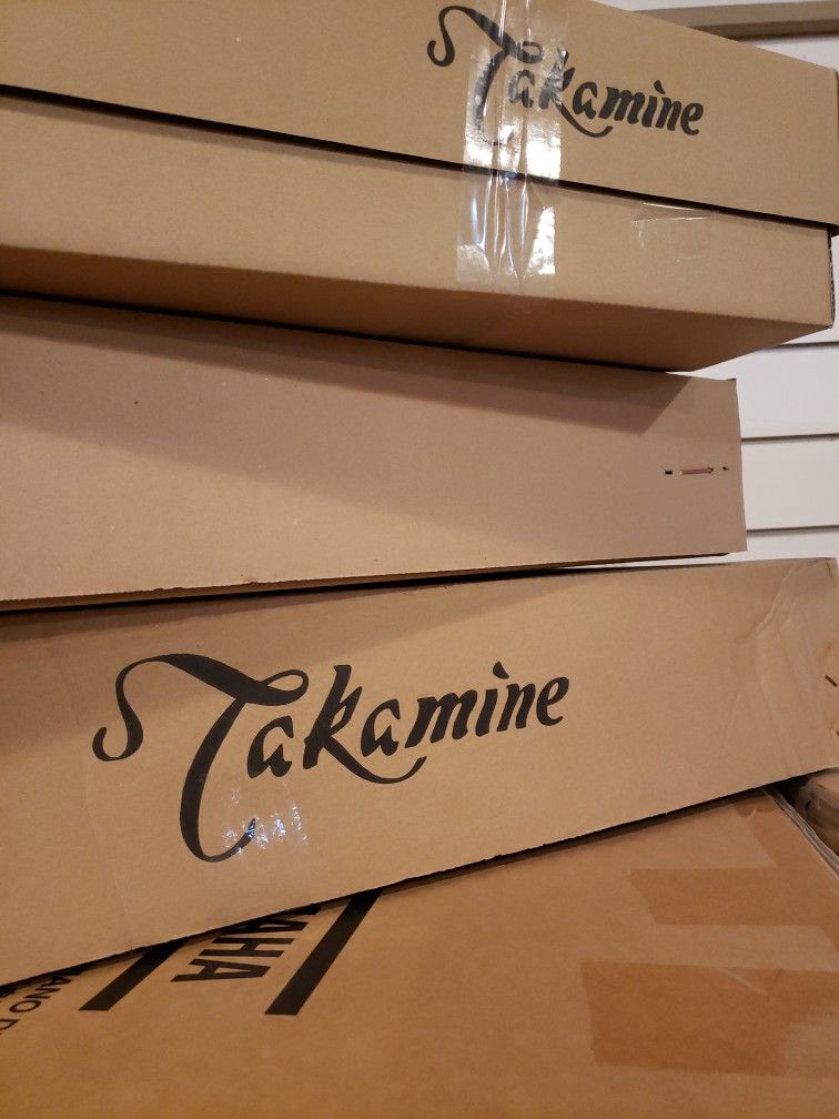 Takamine P3DC 12