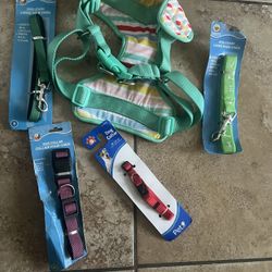 Dog Collars And Harness.