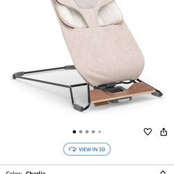 Baby Bouncer 