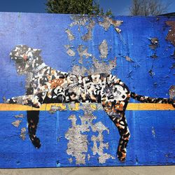 Framed Art “Bronx Zoo Tiger” by Banksy. 60x40 Inch Print