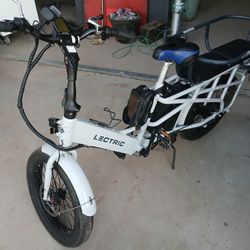 E BIKE LECTRIC