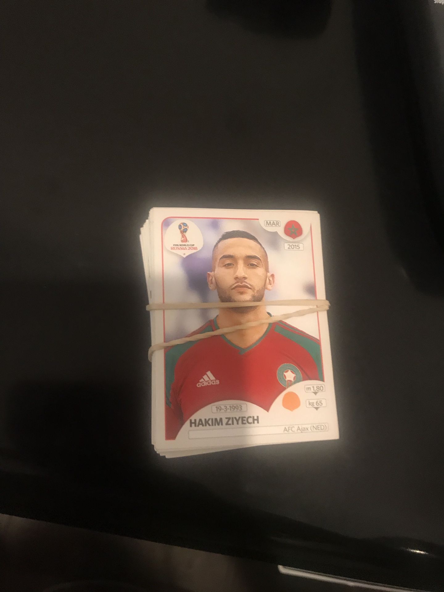 Panini russia 2018