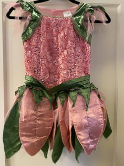 Fairy Kids Costume Pink & Green Medium