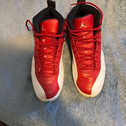 Air Jordan 12s