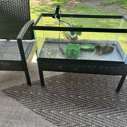 Small Reptile Tank