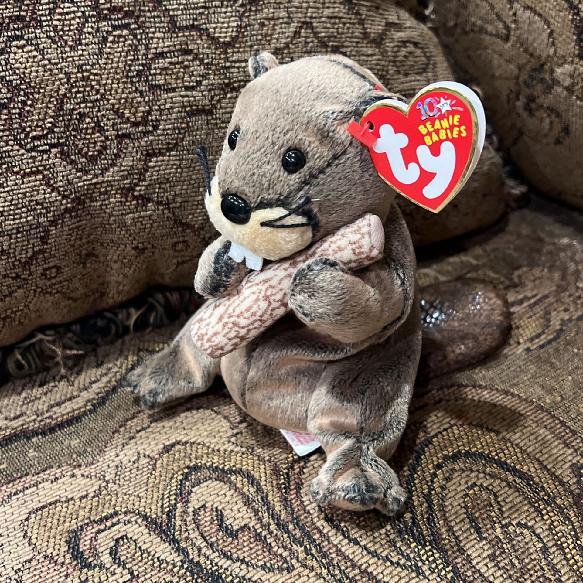 Beanie Babies Collection 