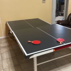 Pong Ping Table