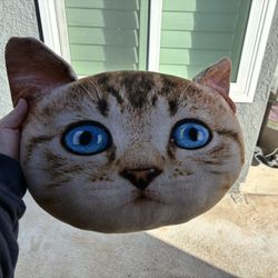 Cat Pillow 