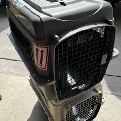 (M) Dog Kennel