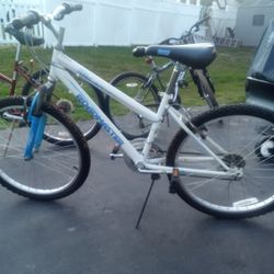 Girl's Mountain Bike 