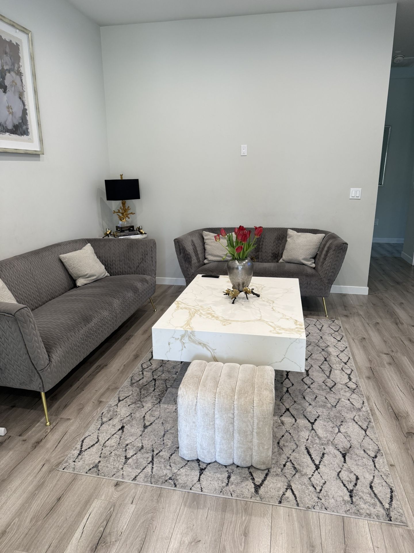 Microfiber Sofa, Couches. Modern