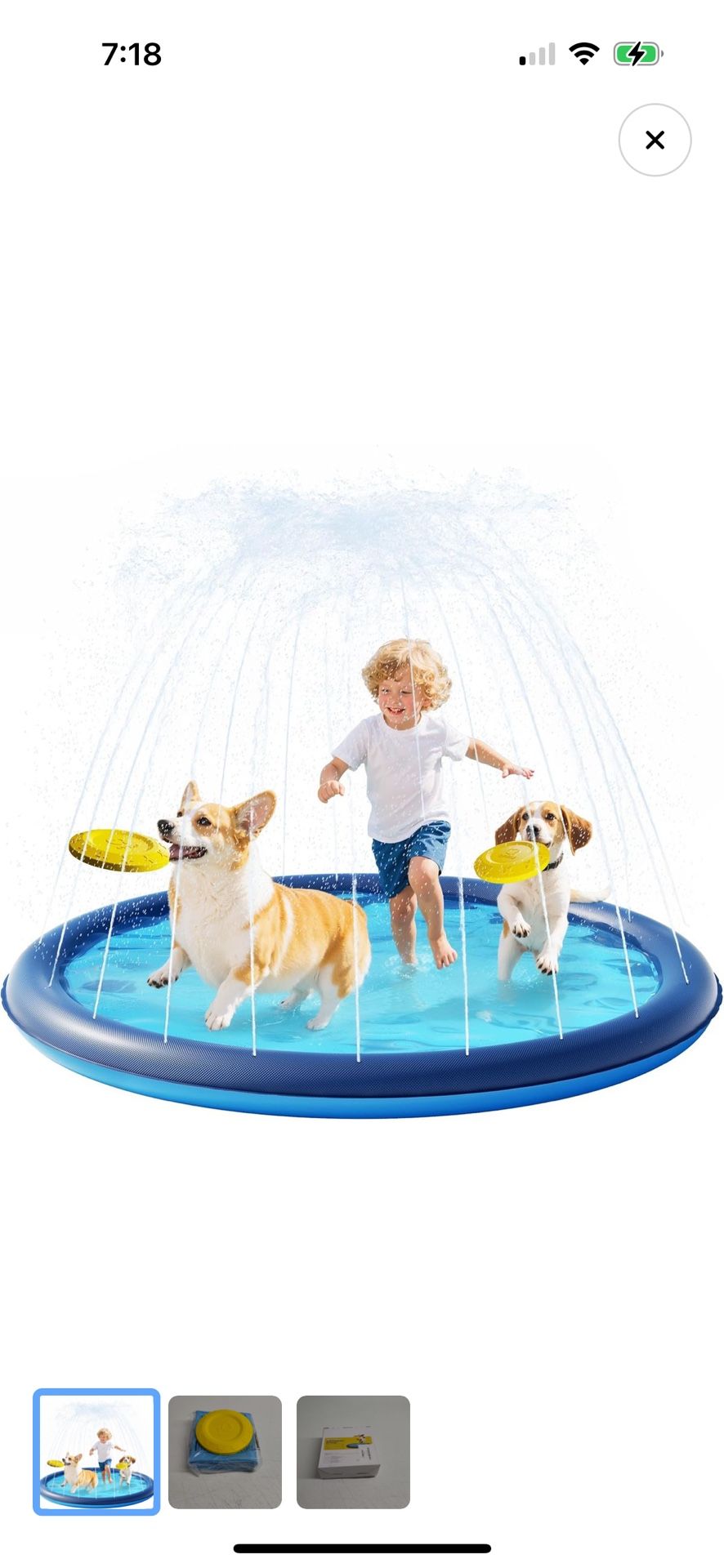 Splash Pad With Flying Disc Pool For Dogs Kids