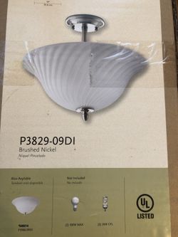 Brushed Nickel Ceiling Light