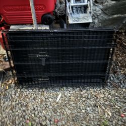 Dog Cage