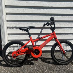 REI 16-inch CO-OP Bike