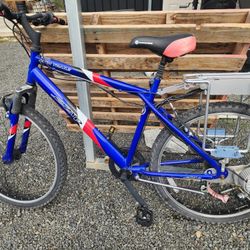 Electric Bike 100 Needs New Battery Cartridge