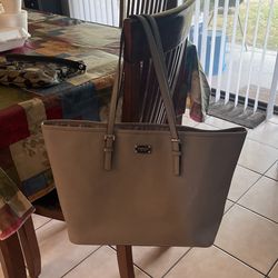 Michael Kors and Coach Bags