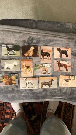 Vintage Dog Trading Cards