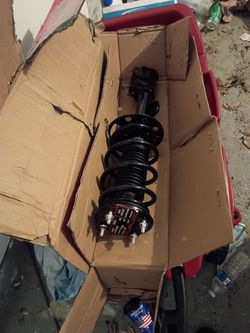 Complete strut assembly