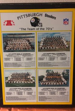 Pittsburgh Steelers plague