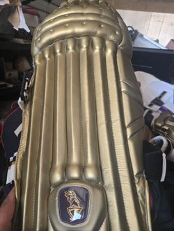 Gold Cricket Batting Leg Pad