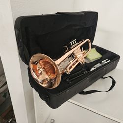 Brand  New Never Used Horn