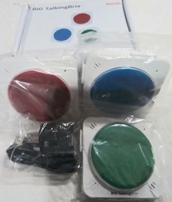 Big Talking Brix- Recorders for speech