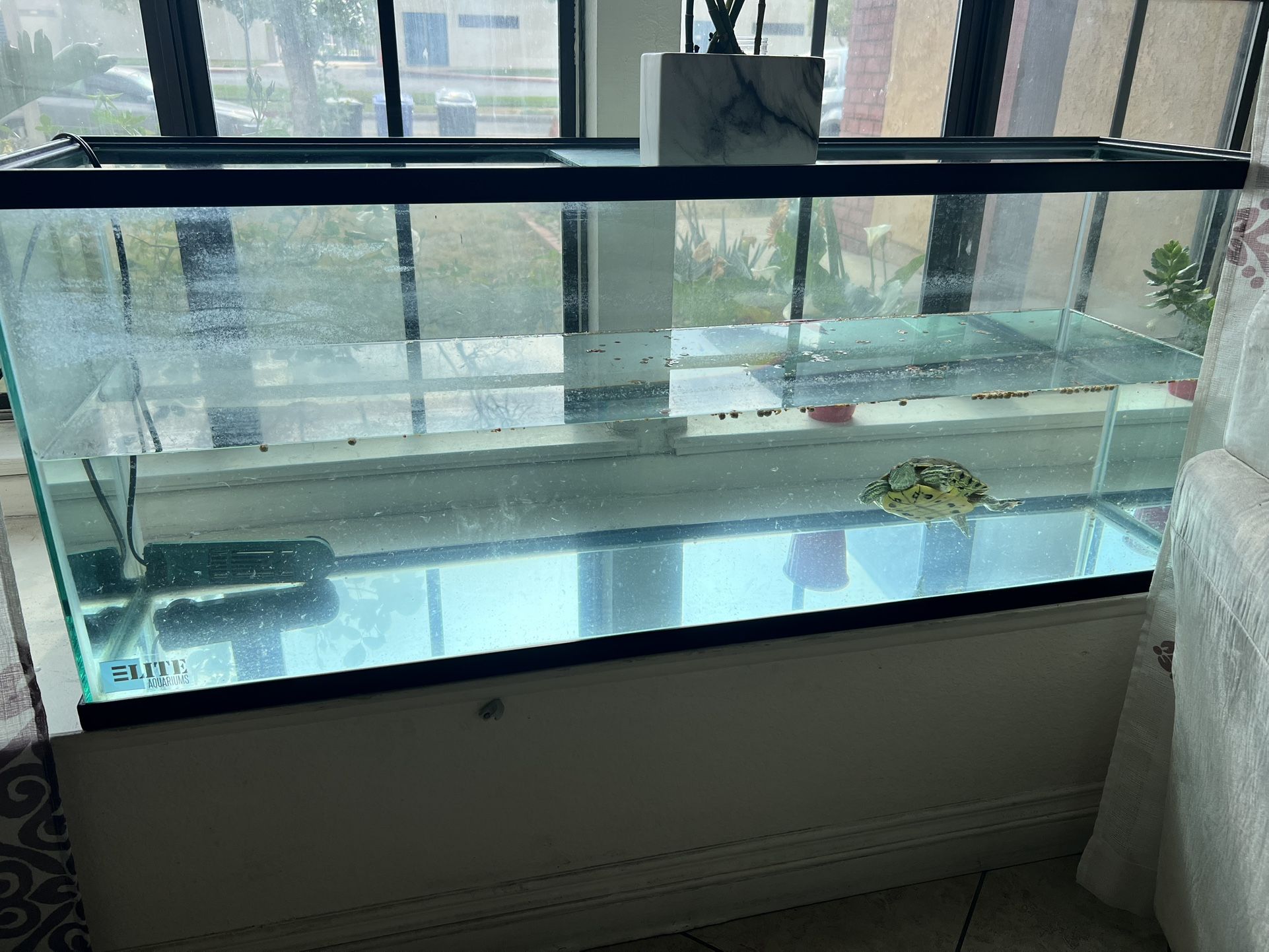 Turtle / Fish Tank
