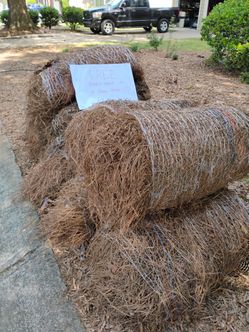 Free pinestraw