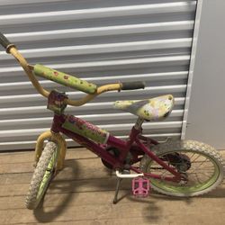 16 Inch Bike