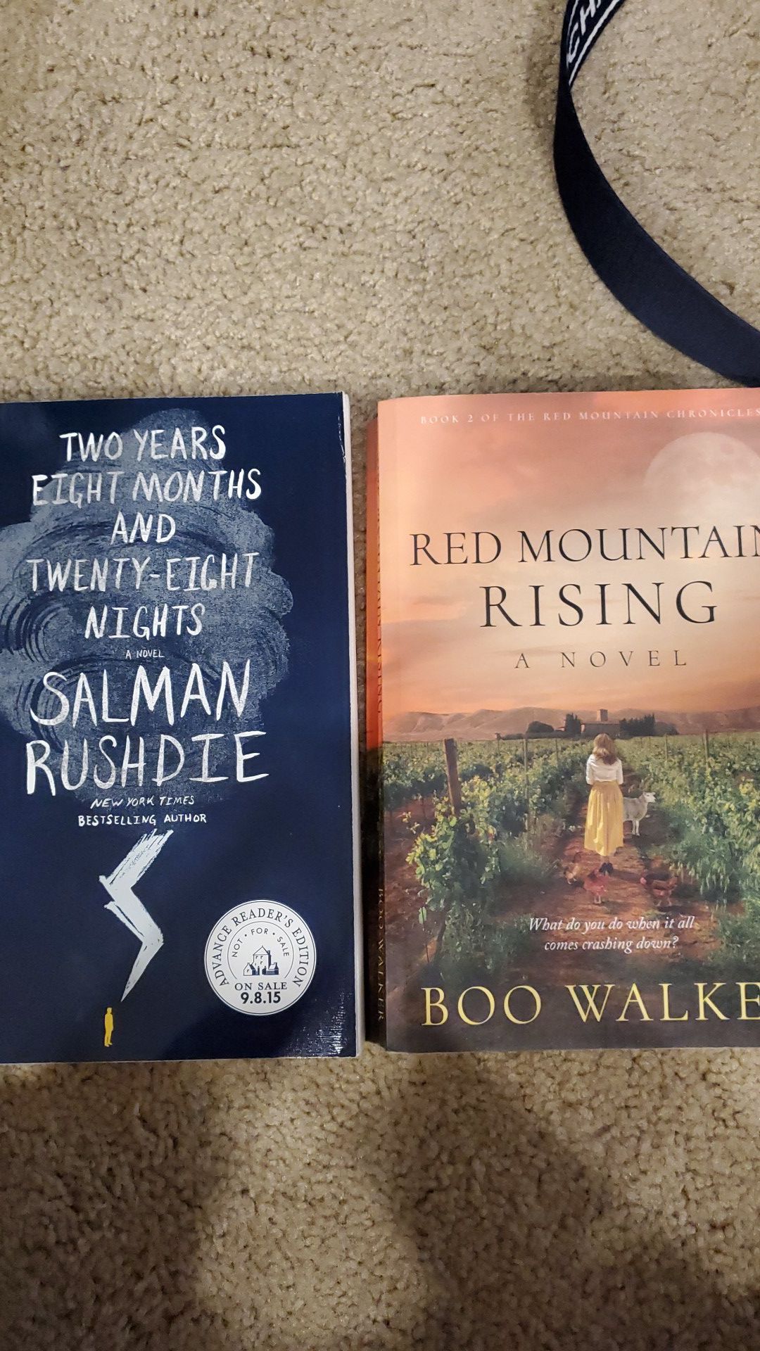 Both books for $1