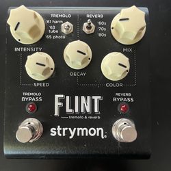 Strymon Flint 