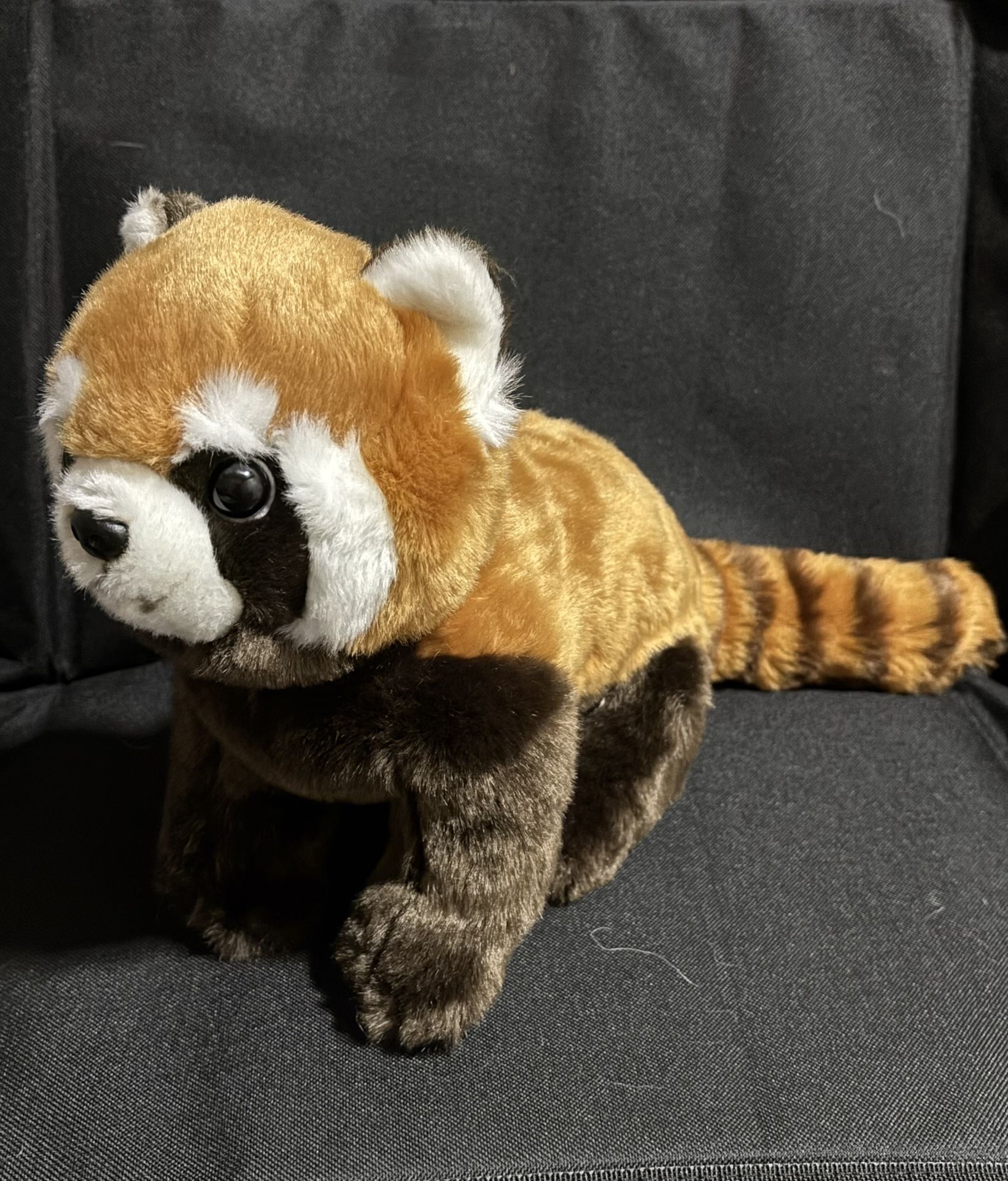 Red Panda
