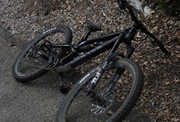 Canyon Torque Mullet CF 8