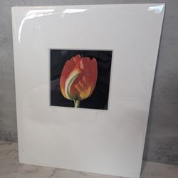Tulip Print