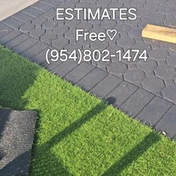 #DrivewayLines#PaVer#turf#grass