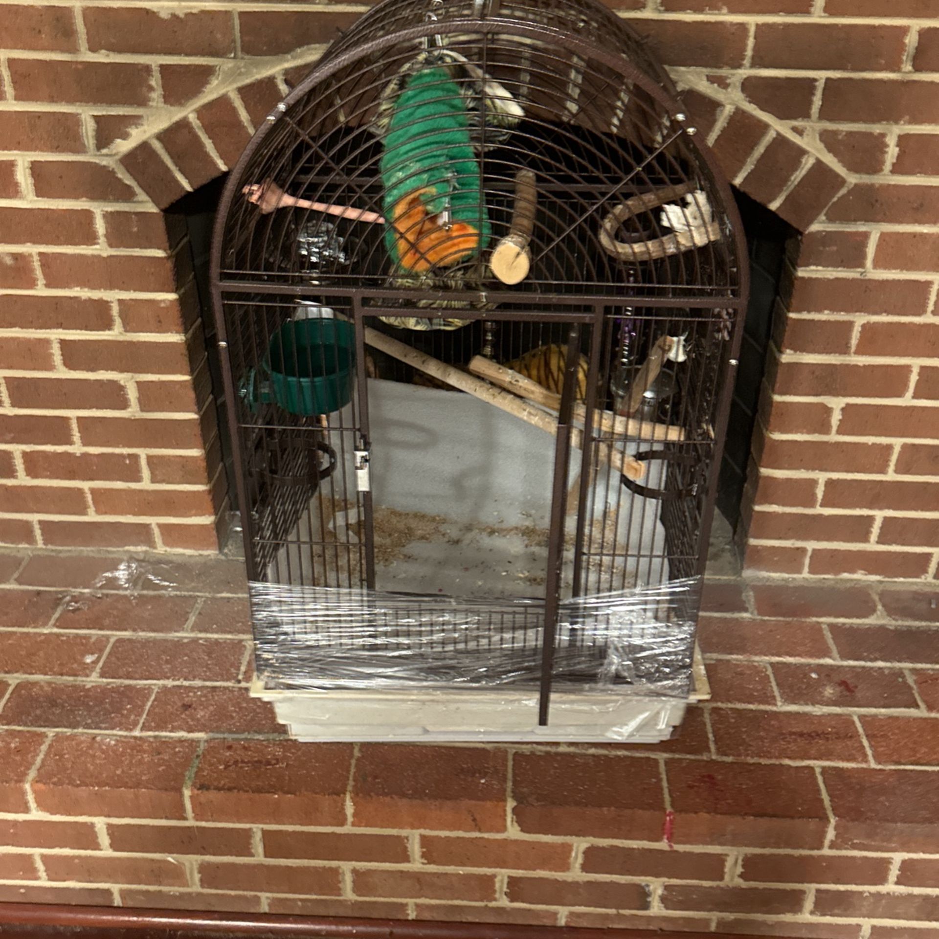 Male love Bird And Two Parakeets