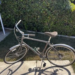 Electra Cruiser Bike