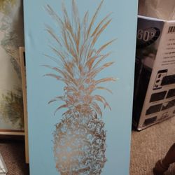 Pineapple Picture